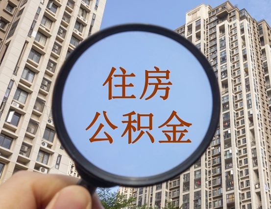 日照退休后查不到公积金明细了吗（退休后公积金查询不到原因）